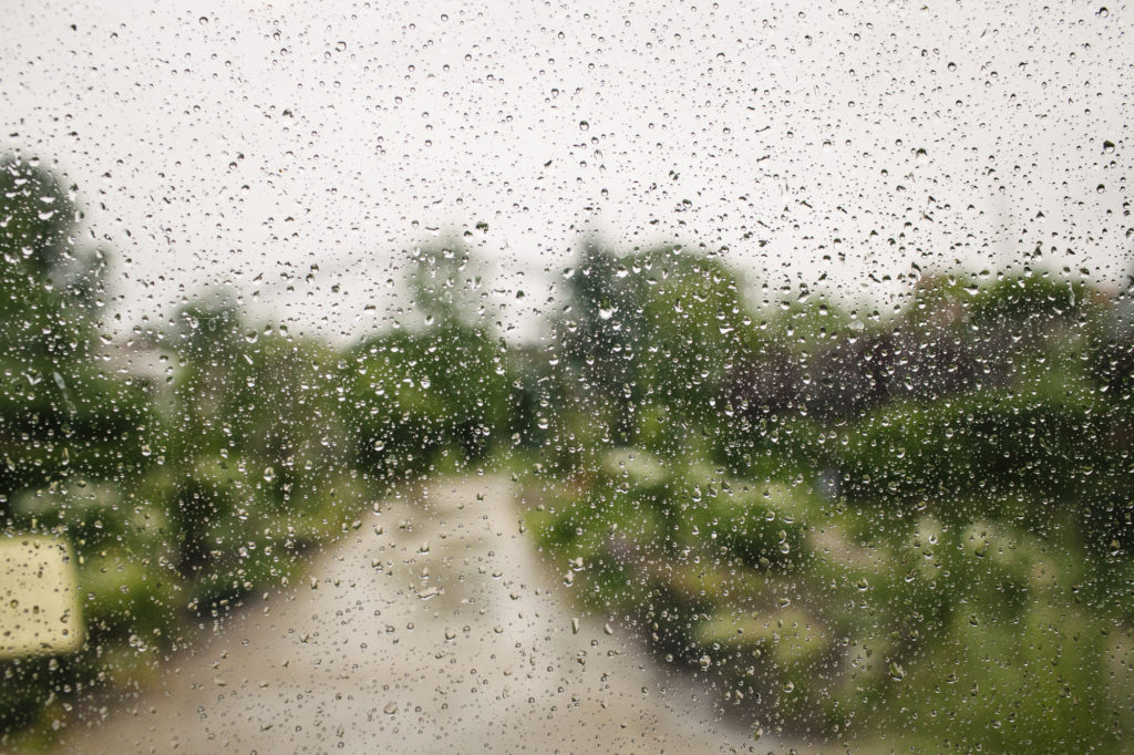 A view out a rainy window, with the focus on the raindrops on the glass. Blurred outside are greenery and a path.